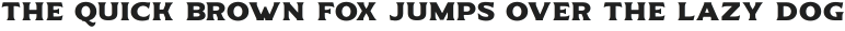 Delighter Script Serif Bold Tracked otf (300)