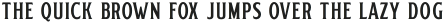 Delighter Script Serif Tracked otf (300)
