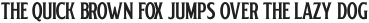 Regular Serif otf (300)