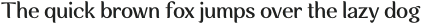 Rossanova Text Medium otf (500)