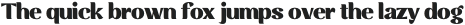 Rossanova Text Black otf (900)
