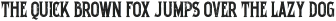 Temadjo grunge otf (400)