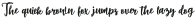 Willona Script Regular otf (400)
