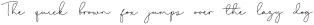 Shopping_Font_Script otf (400)