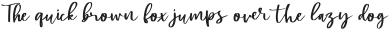 Swally otf (400)