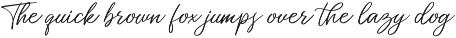 Miss Catlyne // Handwritten Script preview