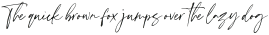 Scatter Ink otf (400)