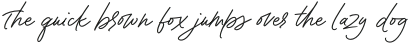 Contempora Script Bold otf (700) Sample
