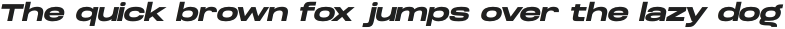 Dreadnoughtus Black Italic otf (900)