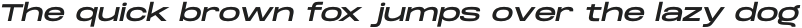 Dreadnoughtus Regular Italic otf (400)
