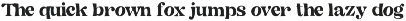 The California | Serif Font Duo preview