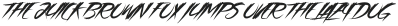 Asia Otasi Capital otf (400)