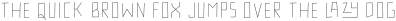 SURVIVOR inline otf (400)