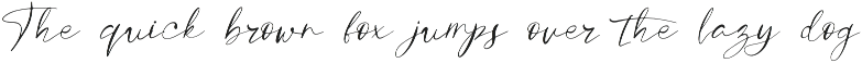 Silverstone - Calligraphy Font preview