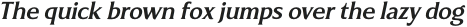 Revans Medium Italic otf (500)
