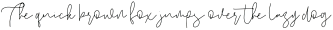 Andrians Script otf (400)