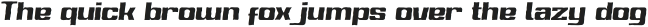 Sport Gazenox Brush Italic otf (400)