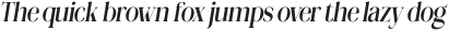 Megilona Medium Condensed Slant otf (500)