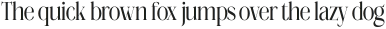 Megilona Light Condensed otf (300)