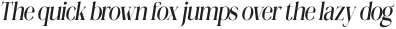 Megilona Condensed Slant otf (400)