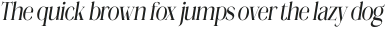 Megilona Light Condensed Slant otf (300)