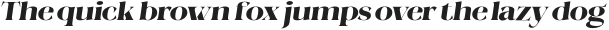 Megilona Black Expanded Slant otf (900)
