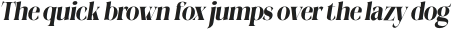 Megilona Black Condensed Slant otf (900)