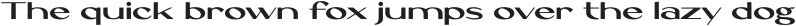 Pegas Bold otf (700)
