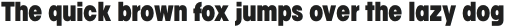 Franie Condensed ExtraBold otf (700)