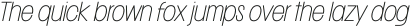 Franie Condensed Hair Italic otf (400)