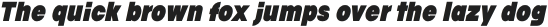 Franie Condensed Black Italic otf (900)