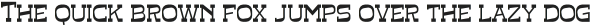 Golden Brooke otf (400)