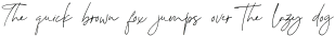 Shadhowiest Script otf (400)