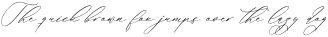 Anticka Whitnes Italic otf (400)