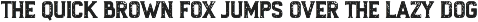 Rough Flannel Slab Serif Font font preview