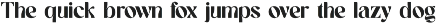 Mewatonia Modern Retro Serif Font font preview