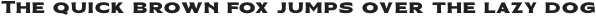 Three Horse Teke Black otf (900)