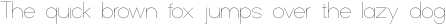 Noland Thin otf (100)