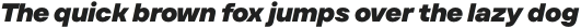 TT Firs Text Black Italic otf (900)