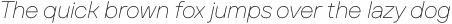 TT Firs Text Thin Italic otf (100)