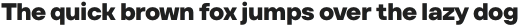TT Firs Text ExtraBold otf (700)
