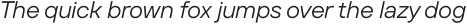TT Firs Text Italic otf (400)