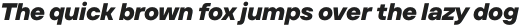 TT Firs Text ExtraBold Italic otf (700)