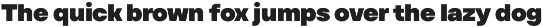 TT Firs Text preview