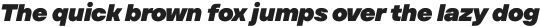 TT Firs Text ExtraBlack Italic otf (900)