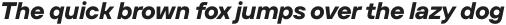 TT Firs Text Bold Italic otf (700)