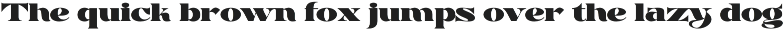 Dharma Planked Font preview