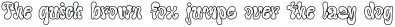 Seicori Outline otf (400)