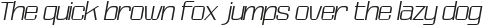 Protura Extra Light Italic otf (200)