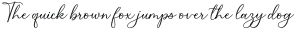 Beauty Light Signature otf (300)